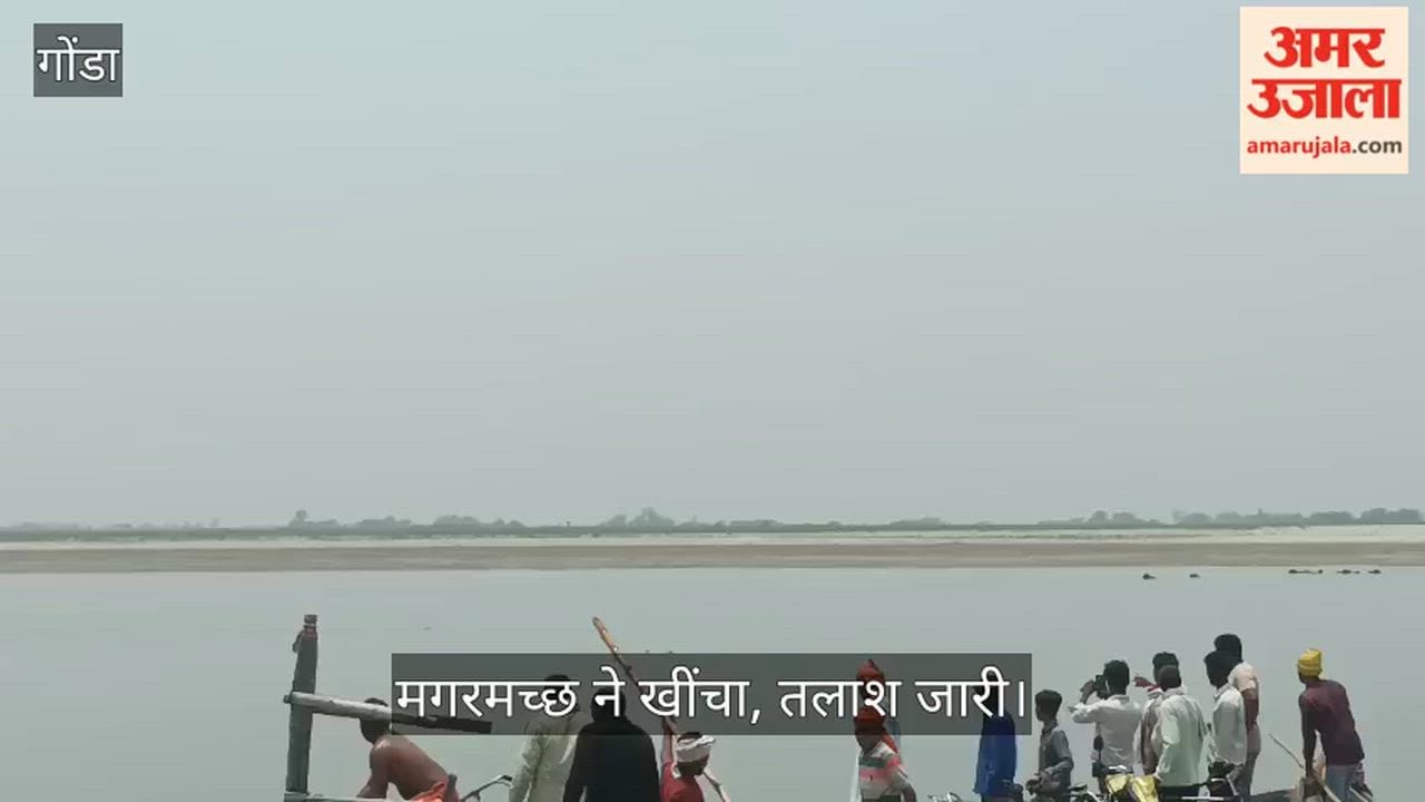 VIDEO: नदी में नहाते समय युवक को मगरमच्छ ने खींचा, तलाश जारी