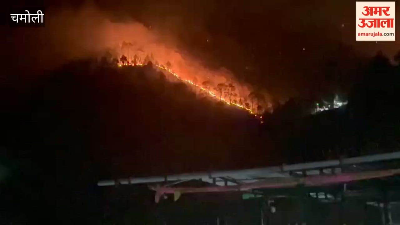 Chamoli: Forest fires engulf several villages, flames visible from afar, forest wealth reduced to ashes