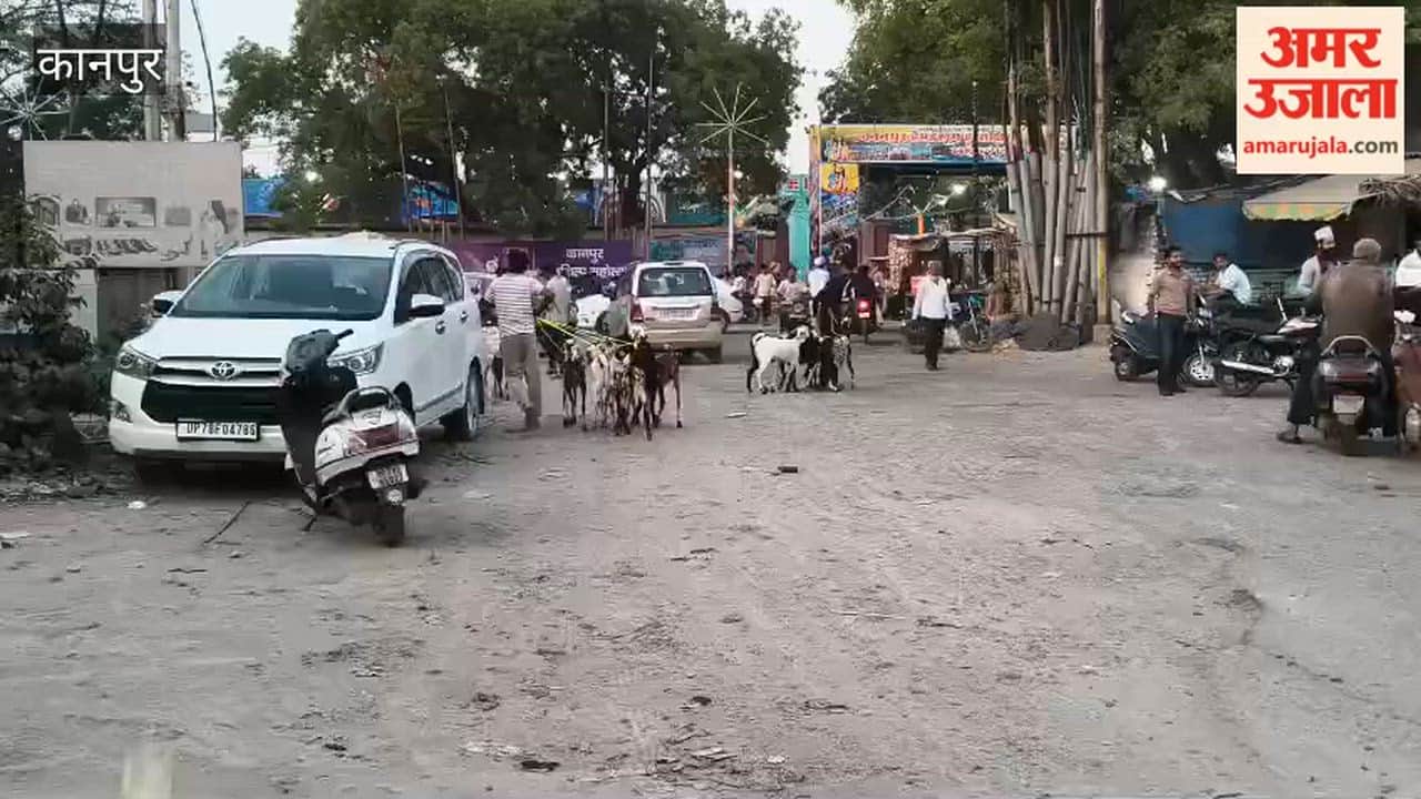 Kanpur: As Bakrid approaches, the goat market in Jajmau is all set