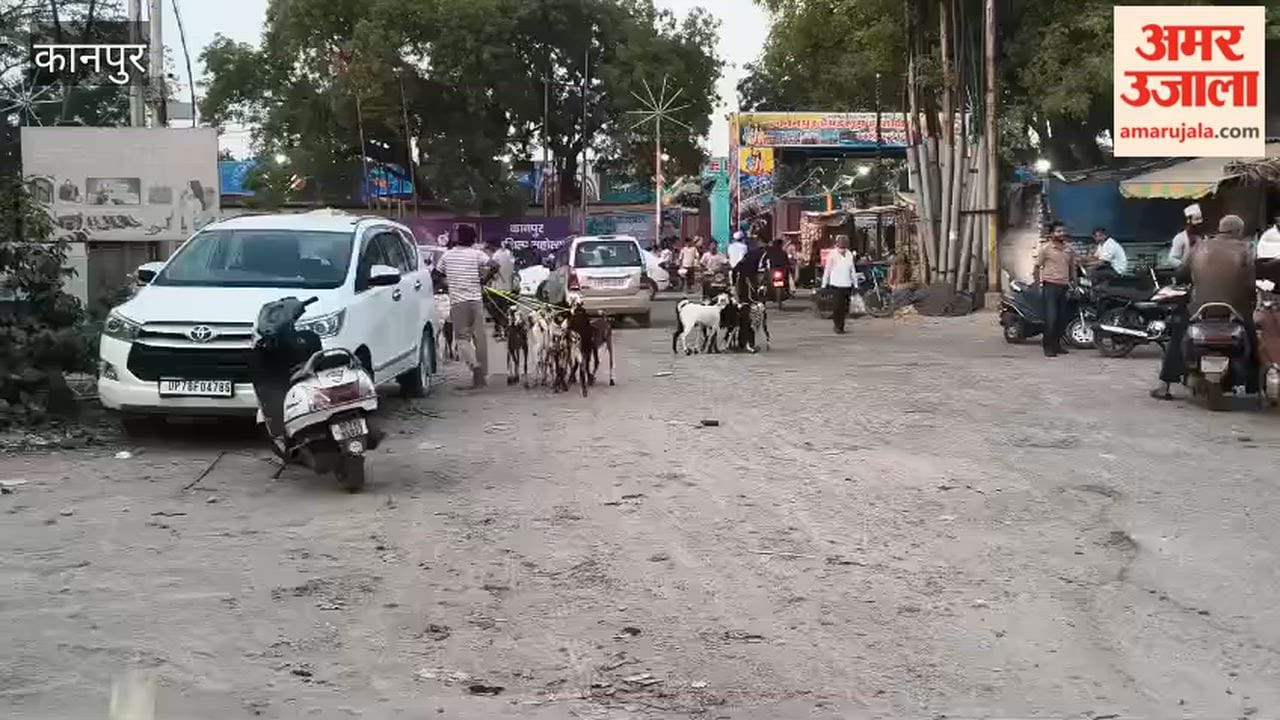 Kanpur: As Bakrid approaches, the goat market in Jajmau is all set