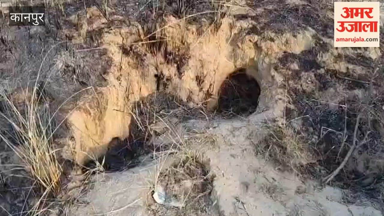 Fed Up with Forest Department's Negligence, Villagers Take Matters into Their Own Hands