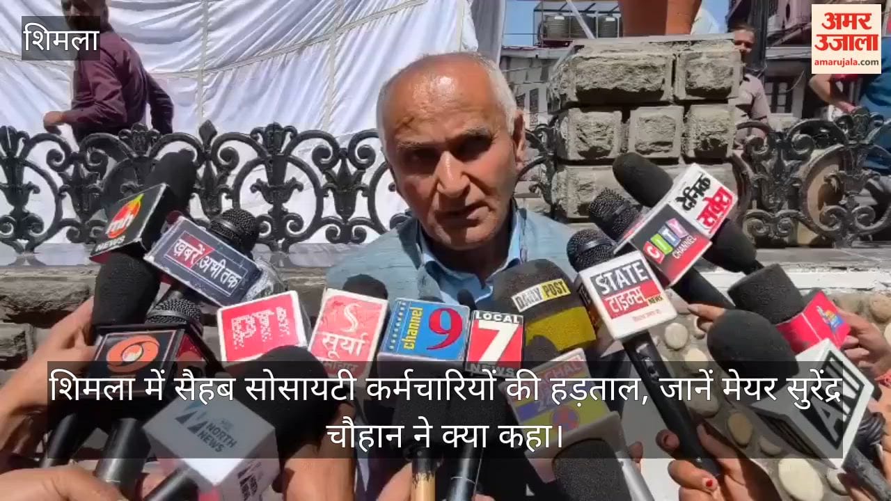 SAHEB Society Employees on Strike in Shimla: Find Out What Mayor Surendra Chauhan Said