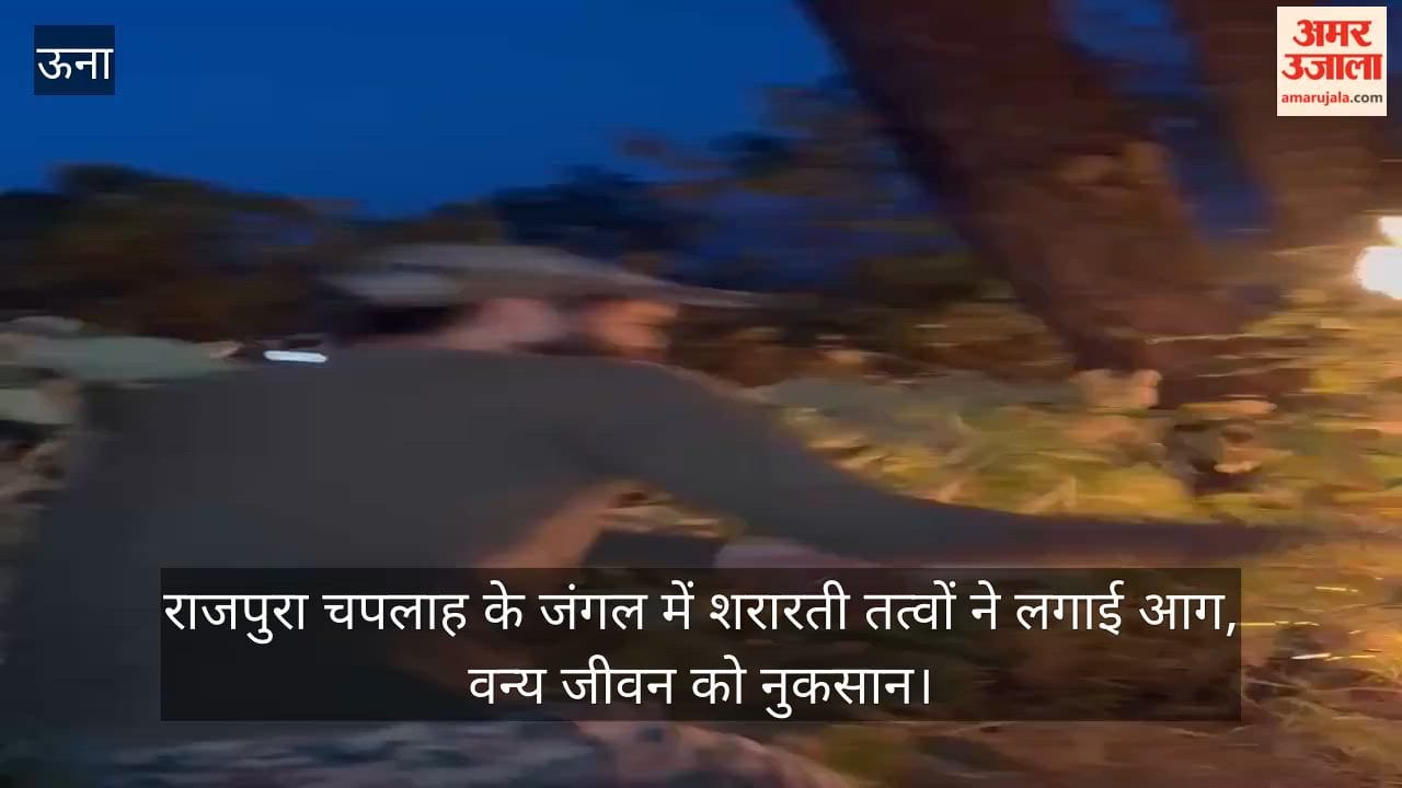 Mischievous elements set fire to the forest in Rajpura Chaplah.
