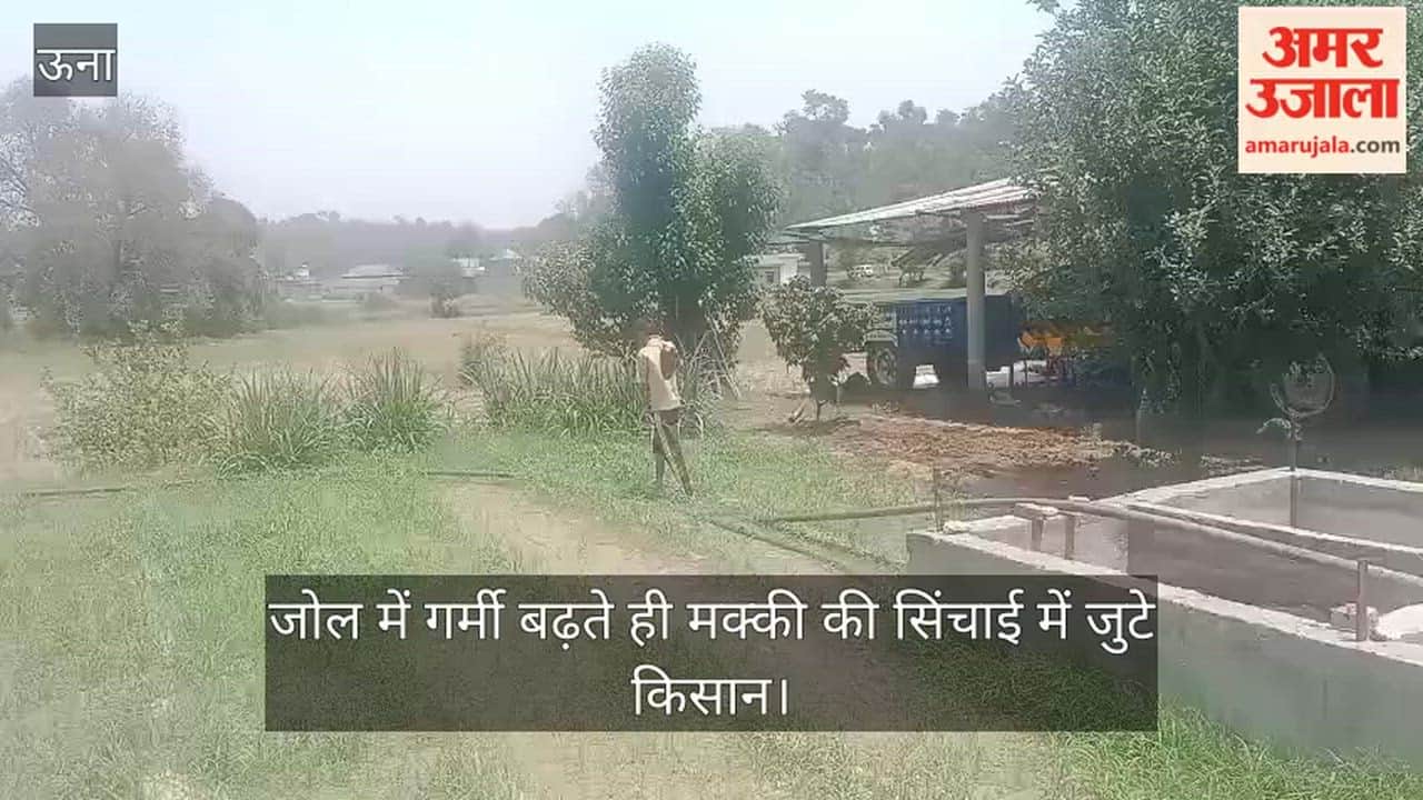 As the heat intensifies in Jol, farmers have begun irrigating their maize crops, toiling day and night to save their harvest.