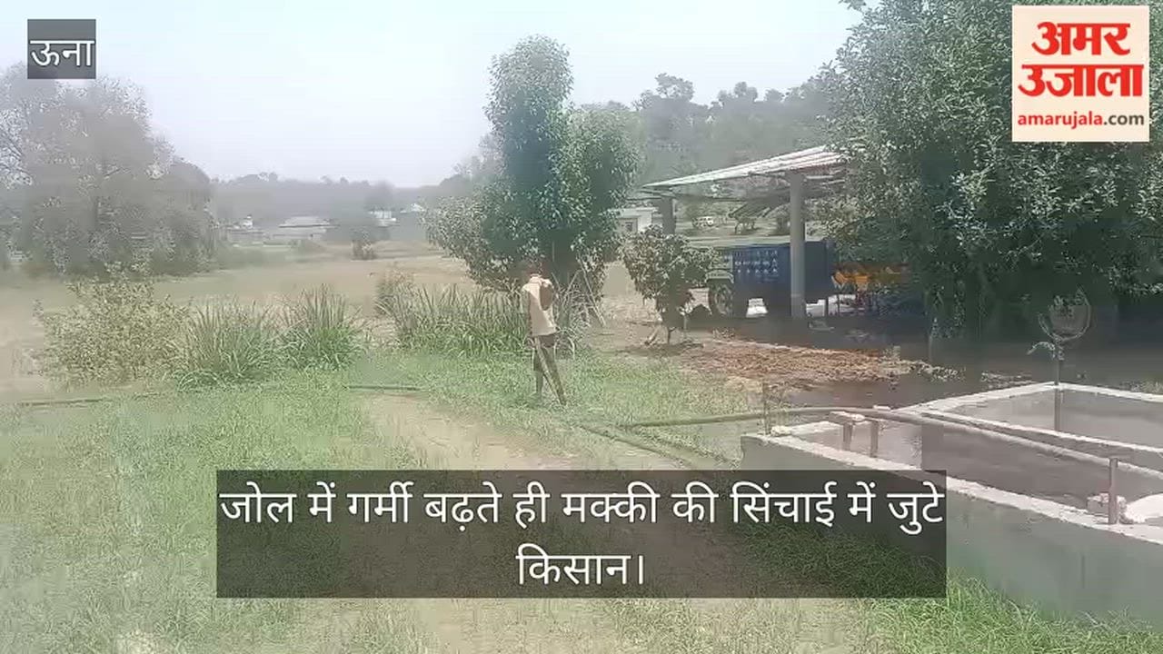 As the heat intensifies in Jol, farmers have begun irrigating their maize crops, toiling day and night to save their harvest.
