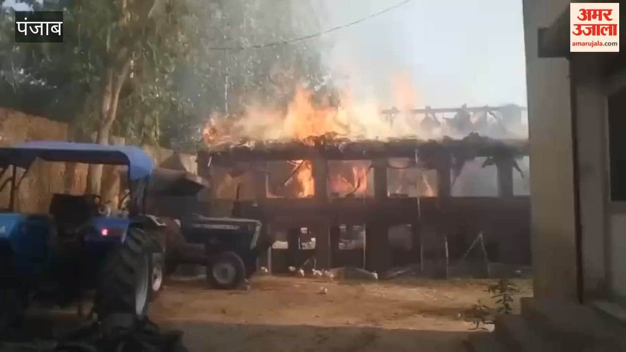 Fire in Pathankot fields spreads to poultry farm; thousands of chicks perish.