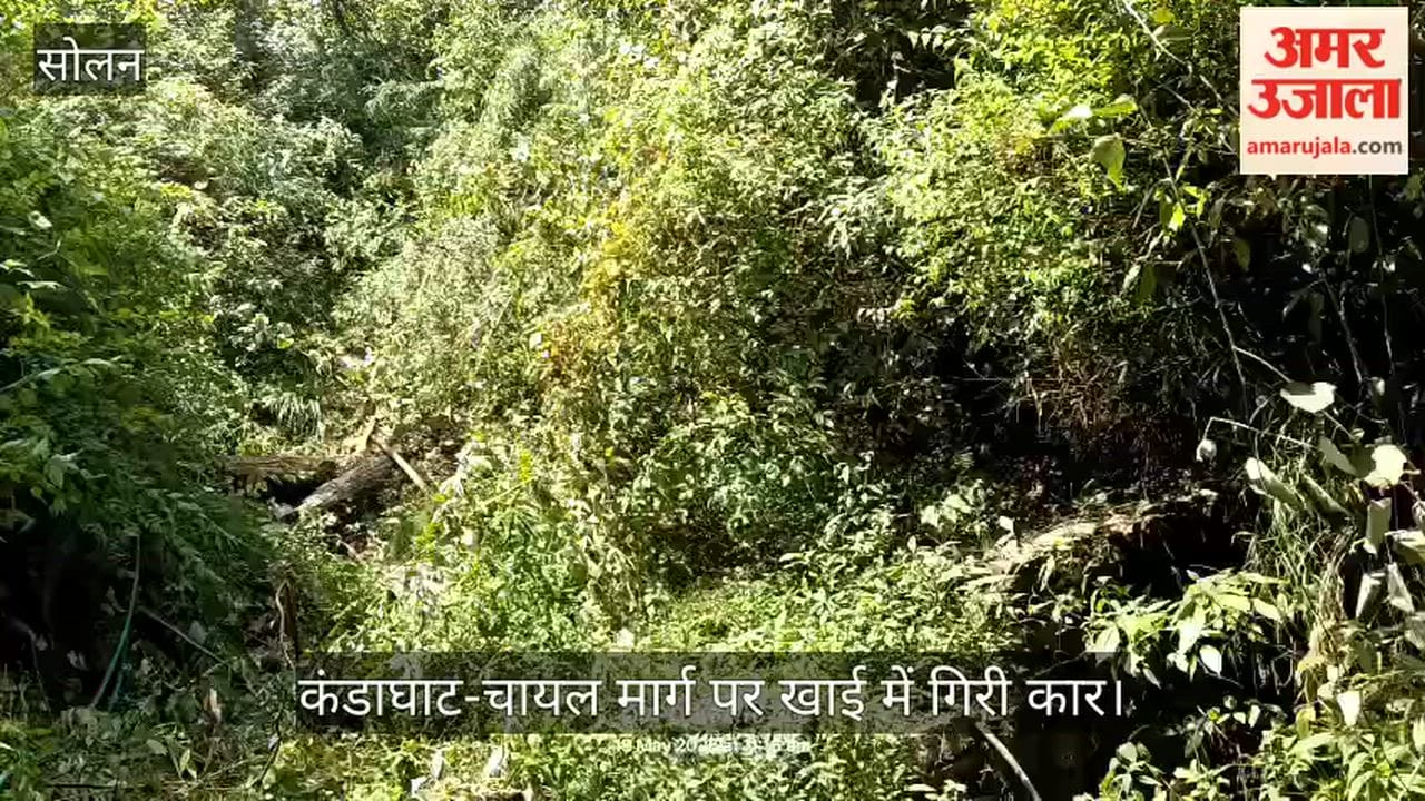 Car Plunges into Gorge on Kandaghat-Chail Road; Young Woman Dies, Four—Including Parents—Critically Injured
