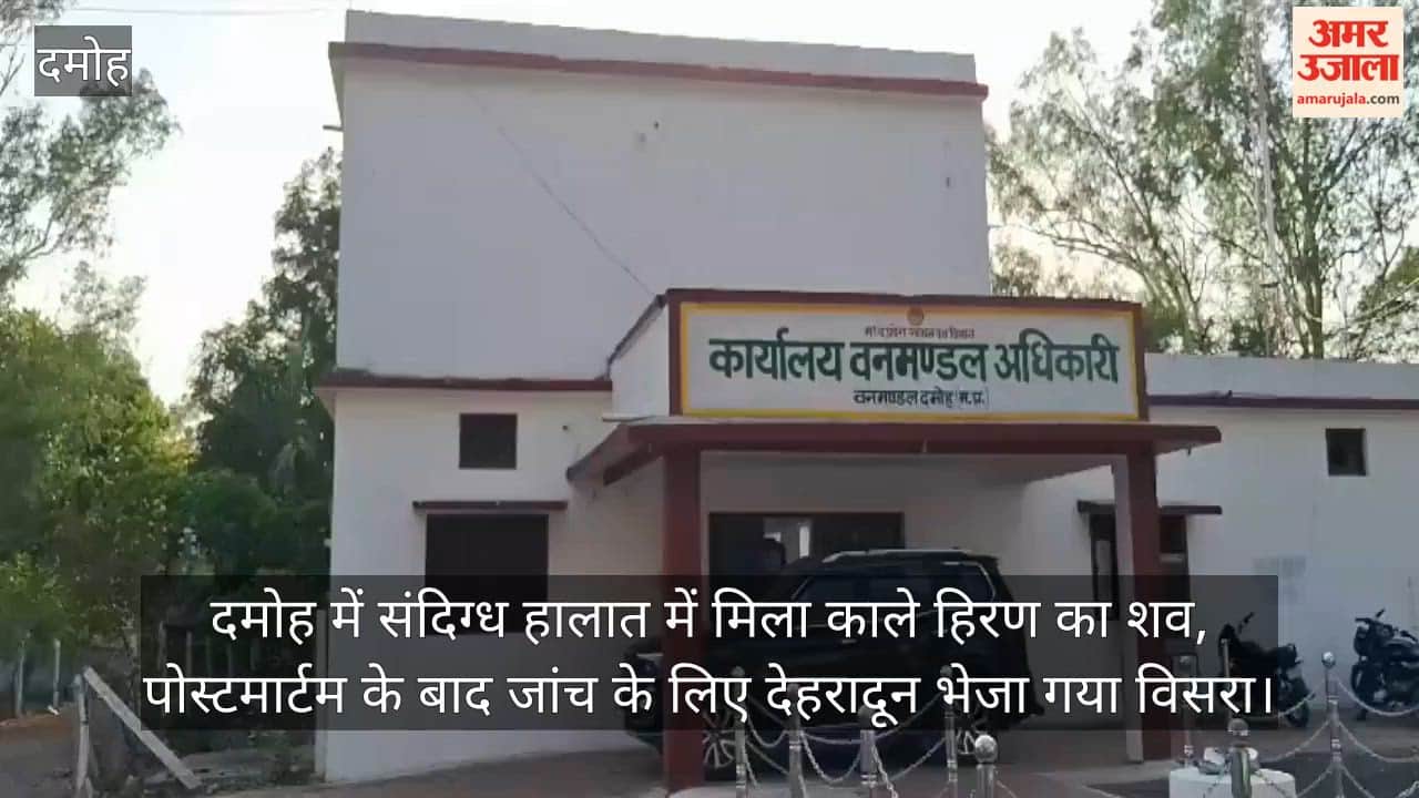 damoh-blackbuck-death-case-viscera-sent-for-investigation-suspicion-of-poaching
