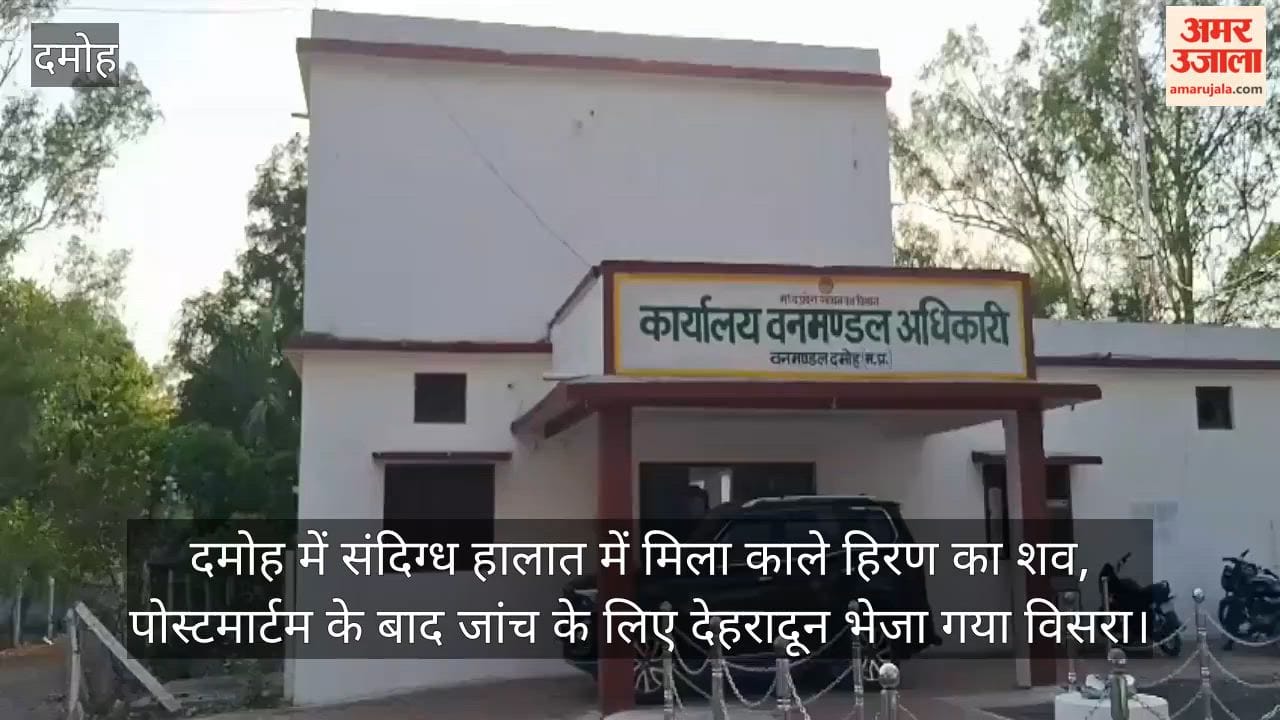 damoh-blackbuck-death-case-viscera-sent-for-investigation-suspicion-of-poaching