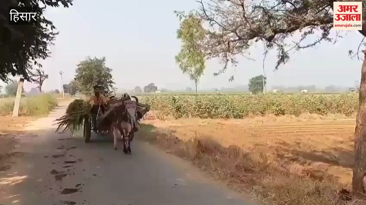 There will be shortage of DAP fertilizer in the month of July