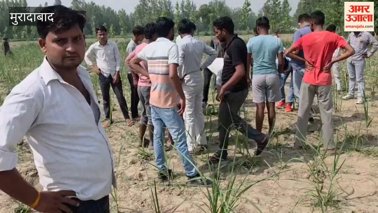 BJP Booth President's Body Found Hanging from Poplar Tree