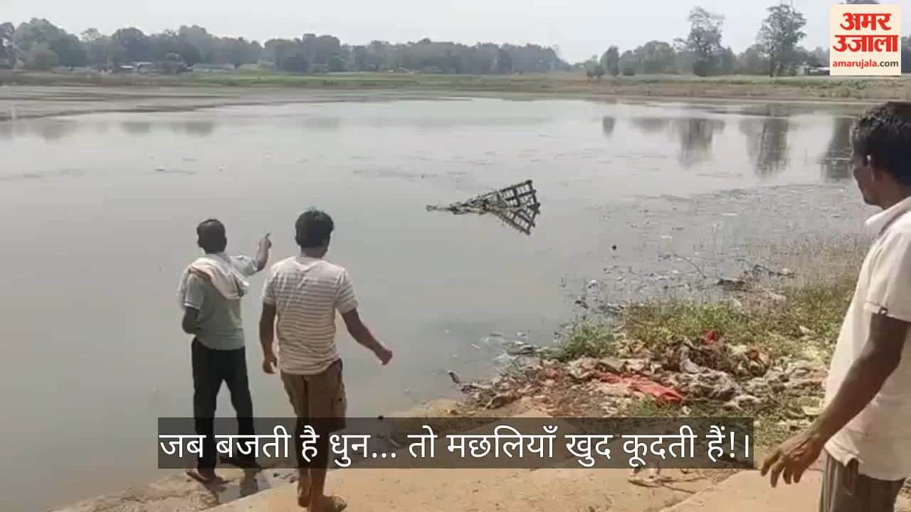 Fish Pond Mahaparva again in Barkai after three years