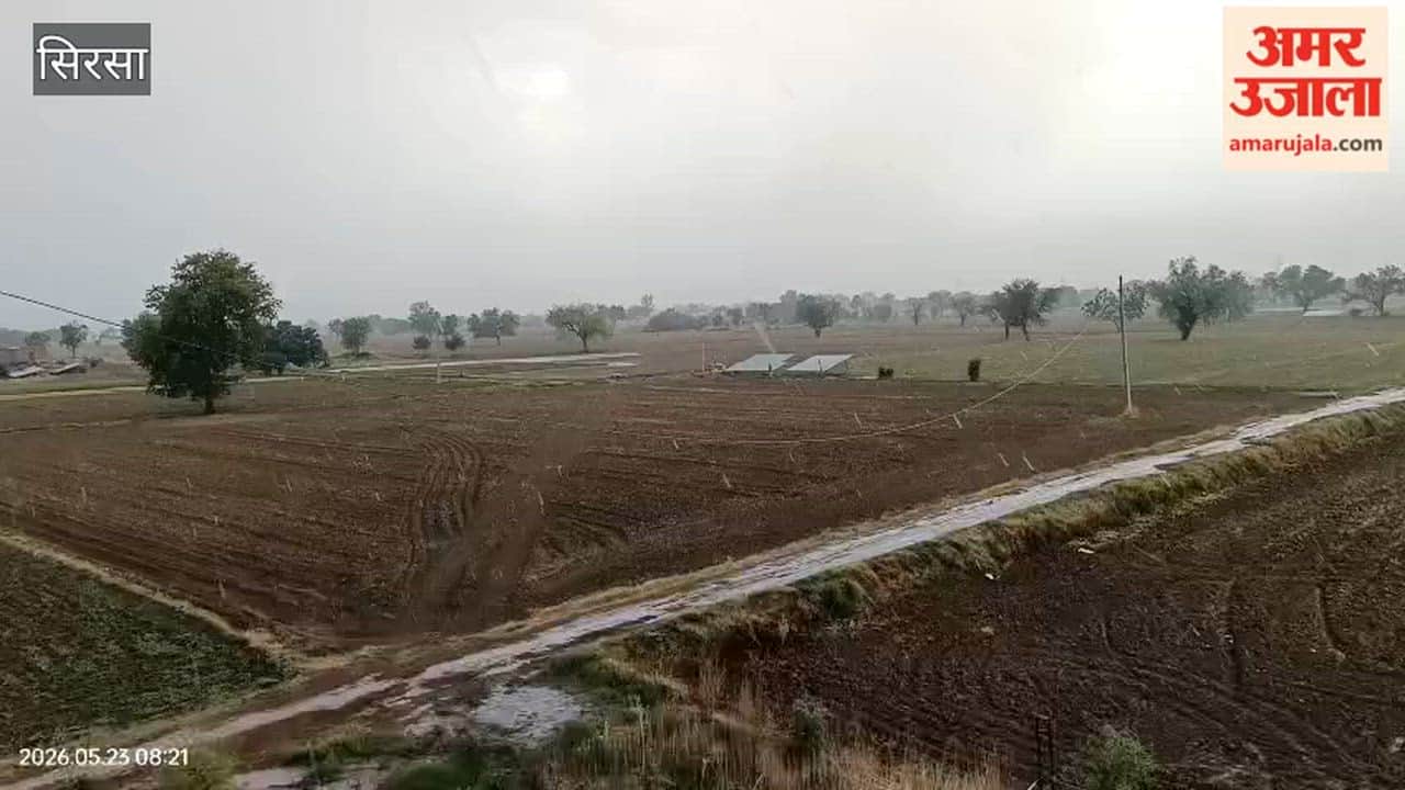 Rain in sirsa