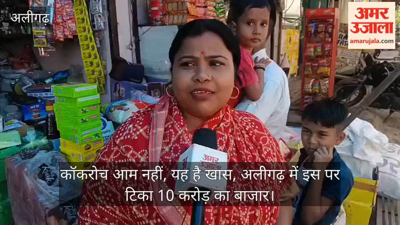 कॉकरोच आम नहीं, यह है खास, अलीगढ़ में इस पर टिका 10 करोड़ का बाजार