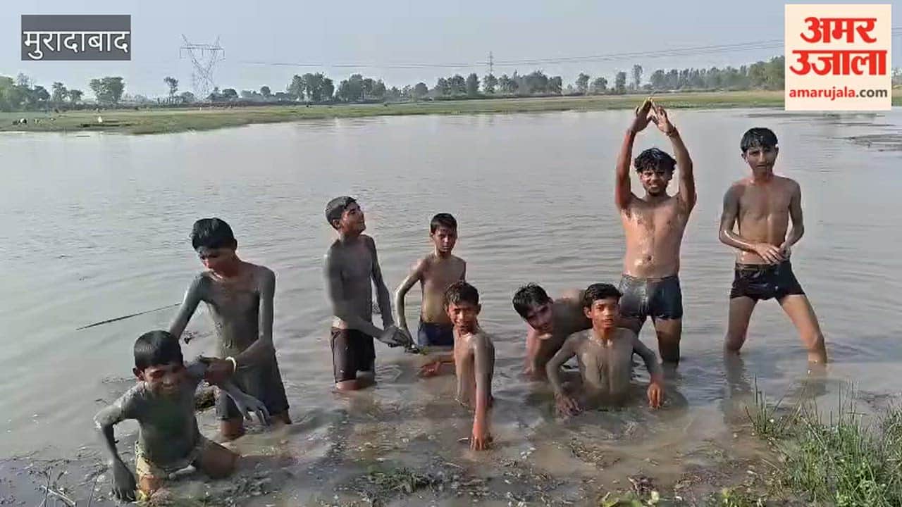 Children Jump into Pond on Shahpur Tigri Road; Finding Relief from the Scorching Heat This Way