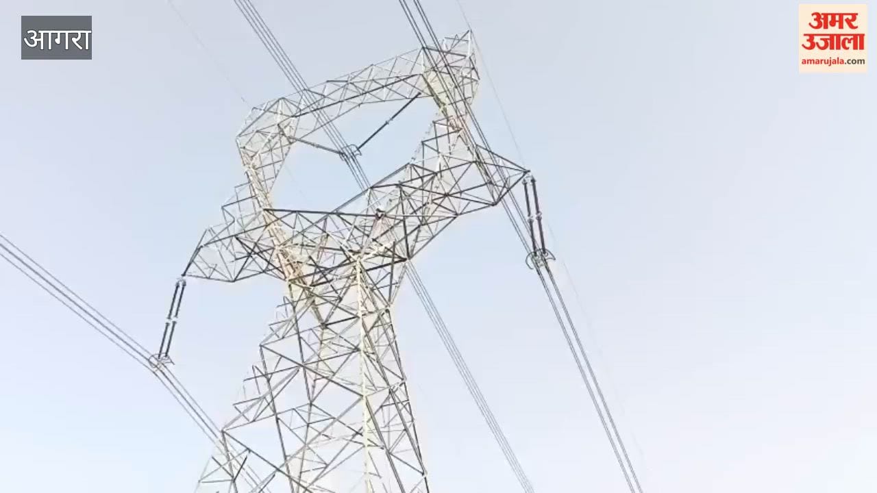Climbs Electric Tower Over Marriage Dispute