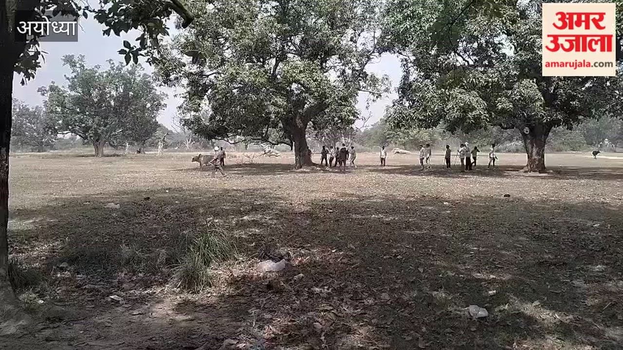 अयोध्या में निराश्रित गोवंश संरक्षण अभियान तेज, बीडीओ ने सुबह 7 बजे से संभाला मोर्चा