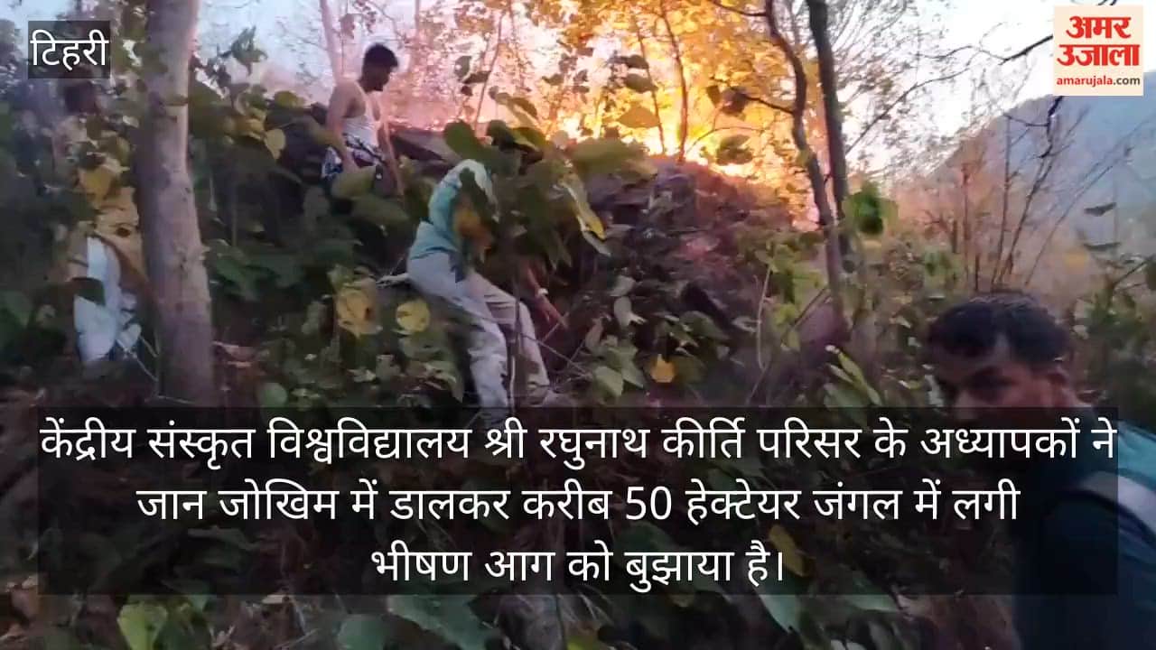 Devprayag Sanskrit University teachers risked their lives to extinguish a forest fire spanning 50 hectares