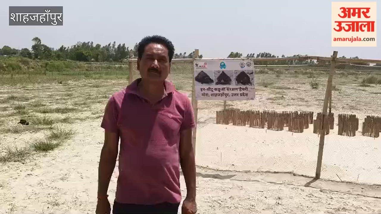 Conservation of over six thousand turtles in Shahjahanpur