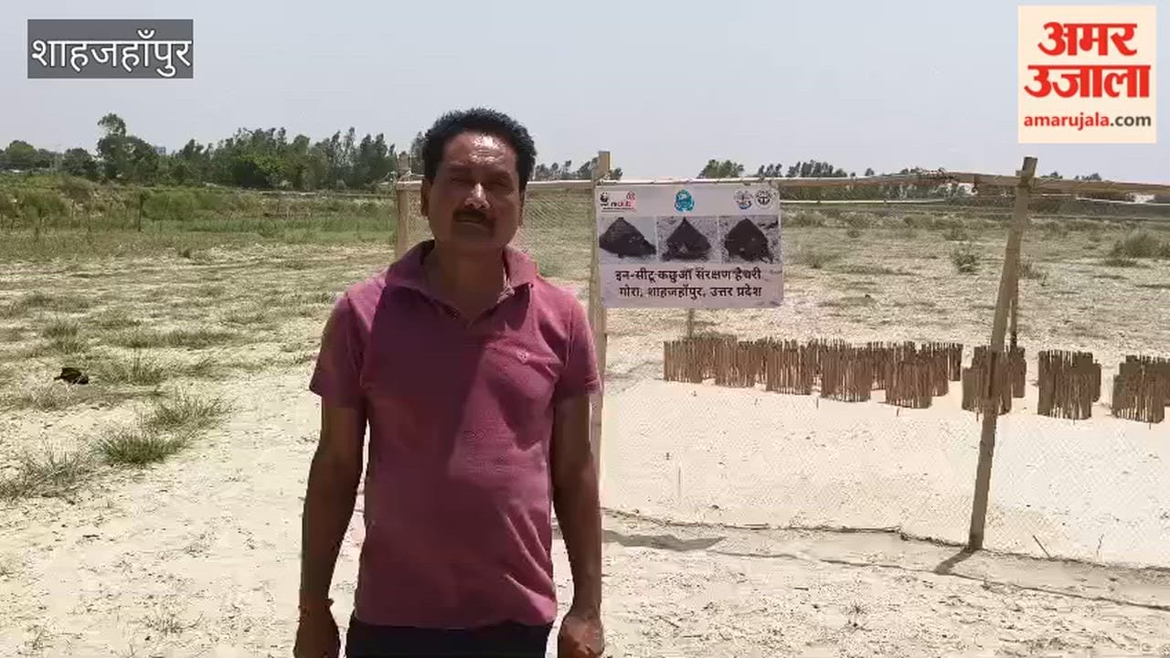 Conservation of over six thousand turtles in Shahjahanpur