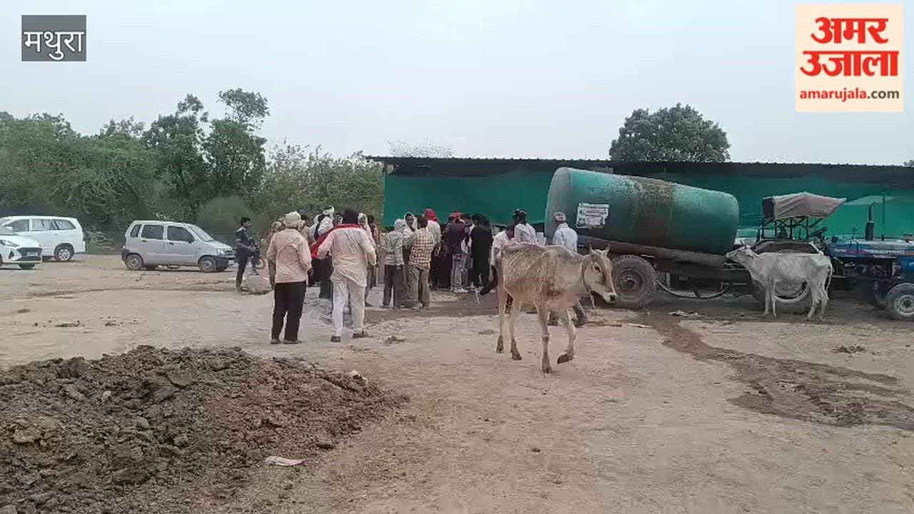 12 Cattle Die in Gaushala After Consuming Contaminated Food from Community Feast in Mathura