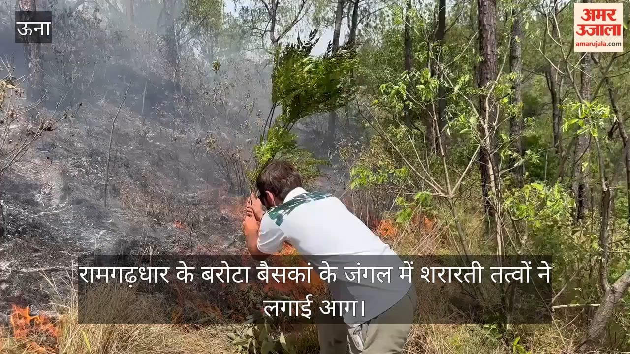 Mischievous elements set fire to the forest at Barota Baiskan in Ramgarh Dhar.