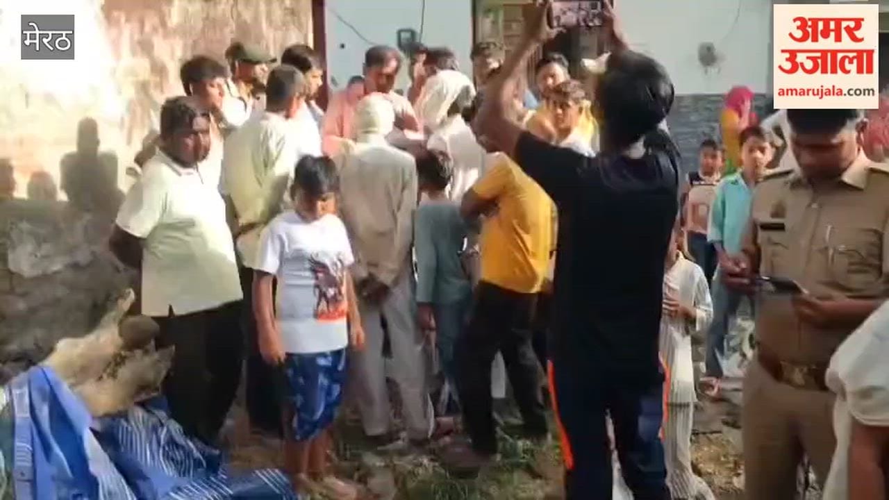 Meerut: Death of cow and calf due to fire in the enclosure, loss worth lakhs