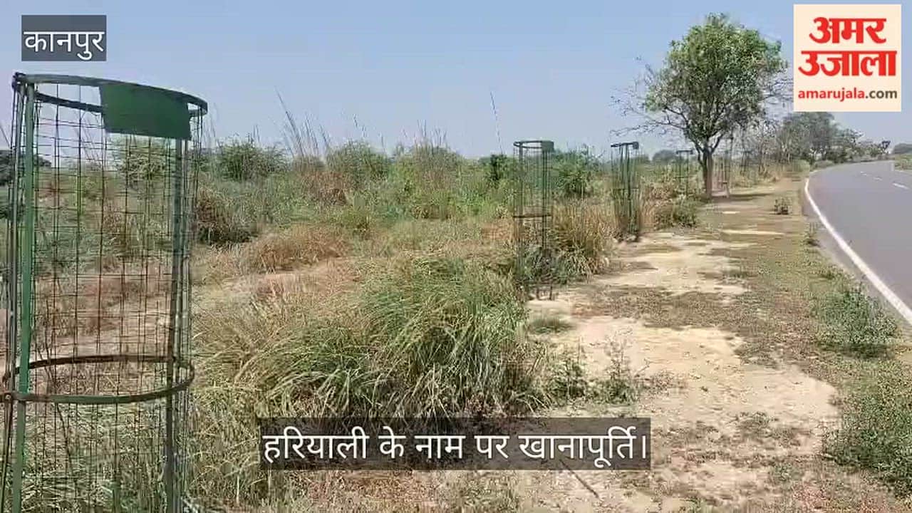 Kanpur: Tree Guards Remain but Saplings Vanish Due to Forest Department Negligence