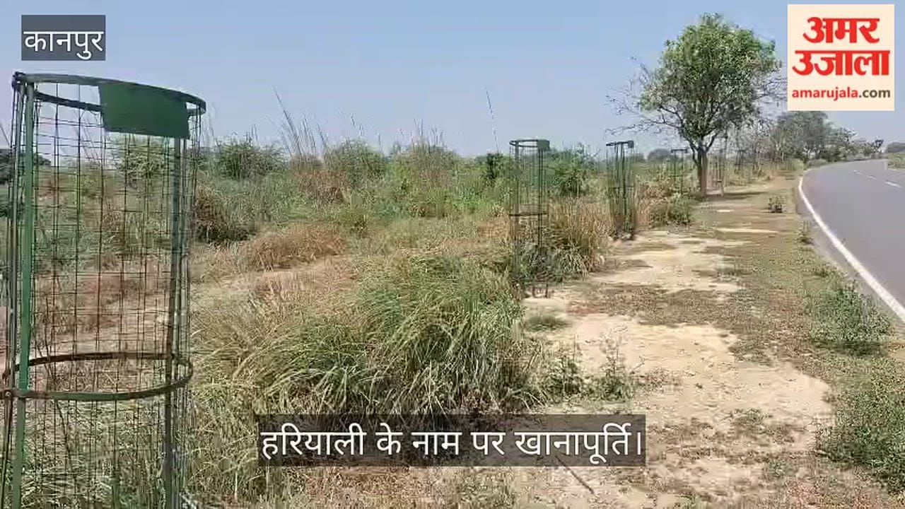 Kanpur: Tree Guards Remain but Saplings Vanish Due to Forest Department Negligence