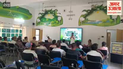 On World Turtle Day, a pledge was taken to conserve turtles.