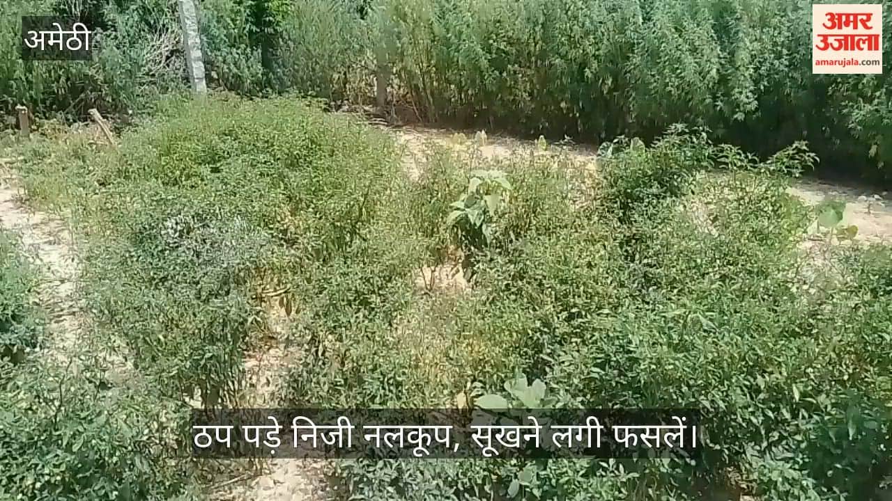 VIDEO: आंधी में क्षतिग्रस्त लाइन से ठप पड़े निजी नलकूप, सूखने लगी फसलें