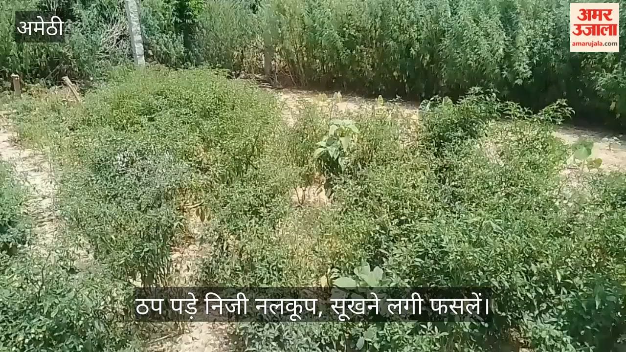 VIDEO: आंधी में क्षतिग्रस्त लाइन से ठप पड़े निजी नलकूप, सूखने लगी फसलें