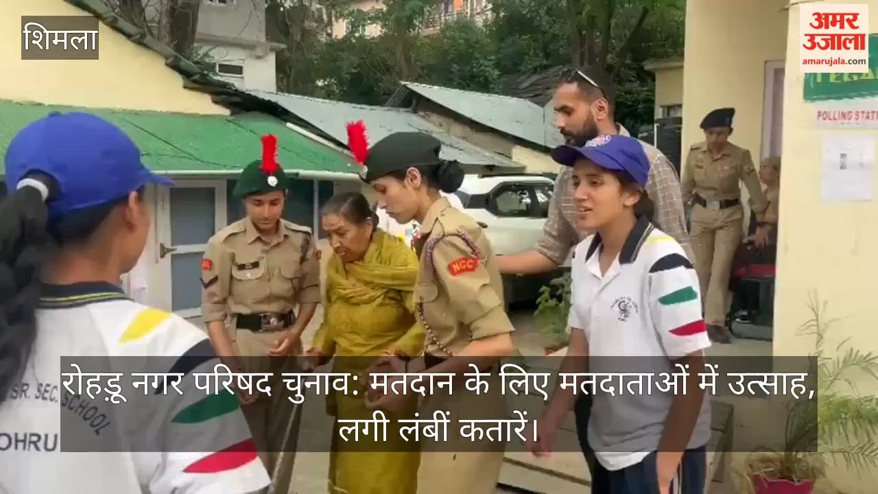 Rohru Municipal Council Elections: Voters Show Enthusiasm for Polling; Long Queues Form