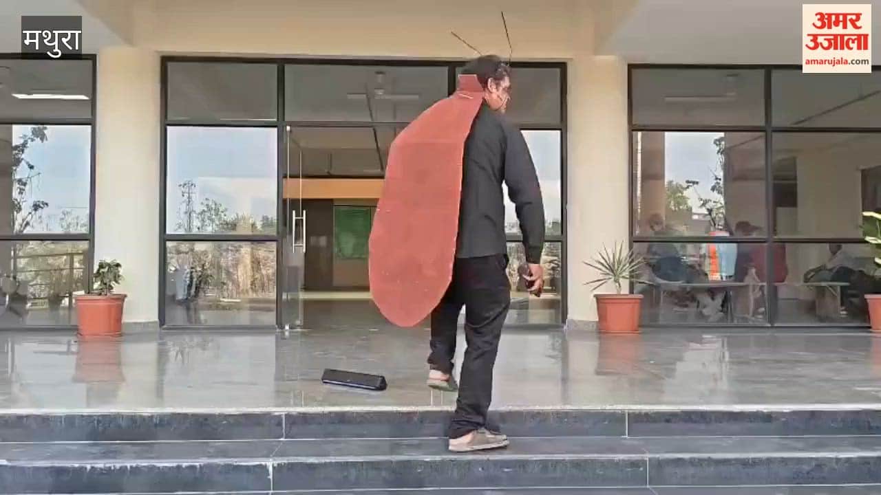 Man Dressed as Cockroach Protests Against Yamuna Pollution Outside Mathura Municipal Office