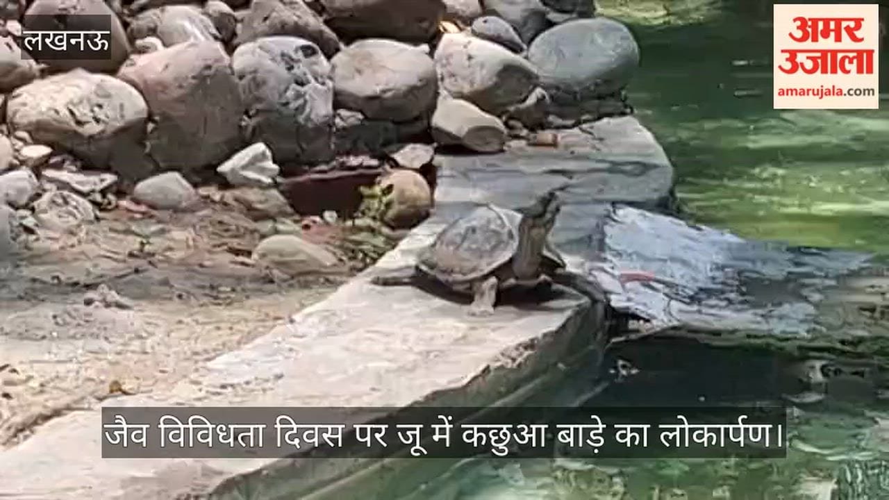 Video: जैव विविधता दिवस पर जू में कछुआ बाड़े का लोकार्पण