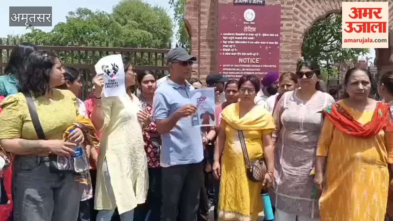 Animal Activists Protest Alleged Cruelty Towards Dogs at Khalsa College