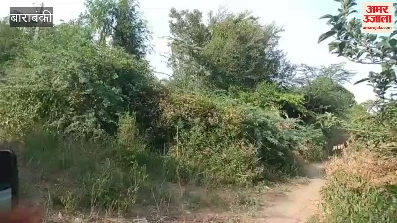 बाराबंकी में बंदरों के संरक्षण को रेठ नदी किनारे बनेगी बजरंग वाटिका, एक हेक्टेयर जमीन चिन्हित