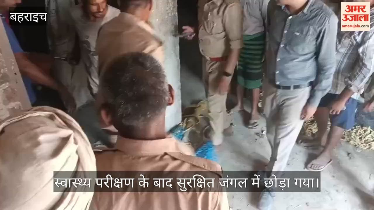 VIDEO:  मौजीपुरवा गांव में तीन लोगों को घायल कर तेंदुआ घर में छिपा, तीन घंटे बाद वन विभाग ने किया टैंकुलाइज