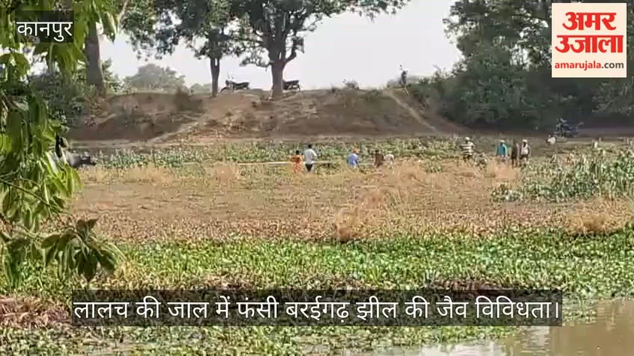 Illegal Fishing Threatens Wildlife and Migratory Birds at Baraigarh Lake