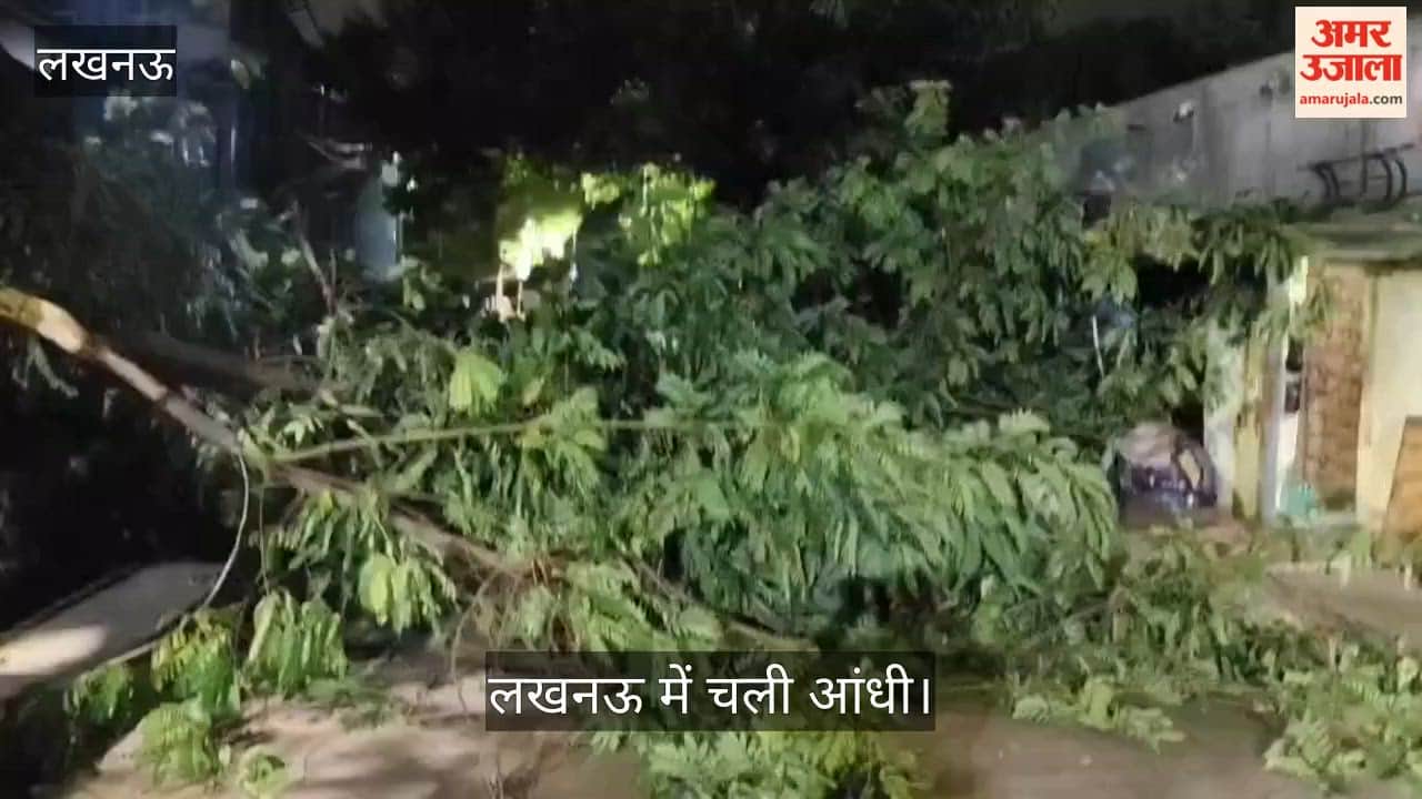 लखनऊ: नौतपा के पहले ही दिन बदला मौसम, लखनऊ में चली आंधी