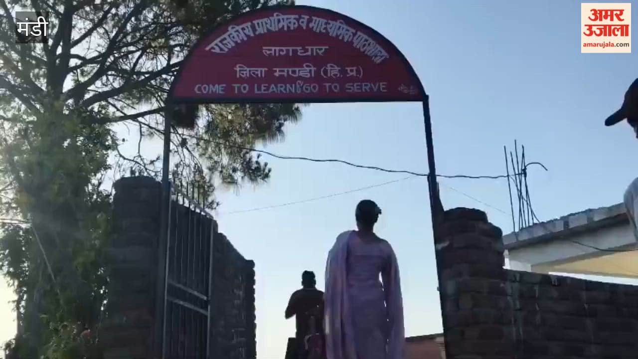 Mandi Enthusiasm surges since morning to elect the 'Village Parliament'; first phase of voting underway in 198 Panchayats of Mandi district