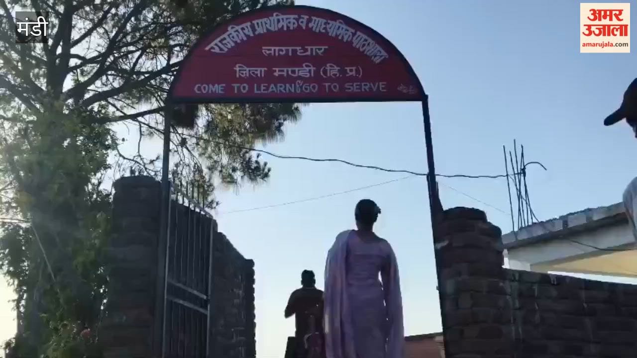 Mandi Enthusiasm surges since morning to elect the 'Village Parliament'; first phase of voting underway in 198 Panchayats of Mandi district