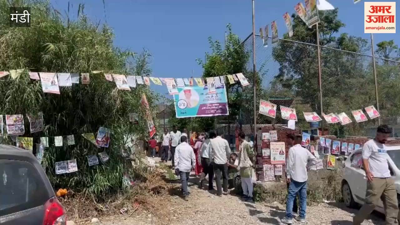 Mandi: 20.3% Voter Turnout in 9 Panchayats of Sundernagar by 10 AM