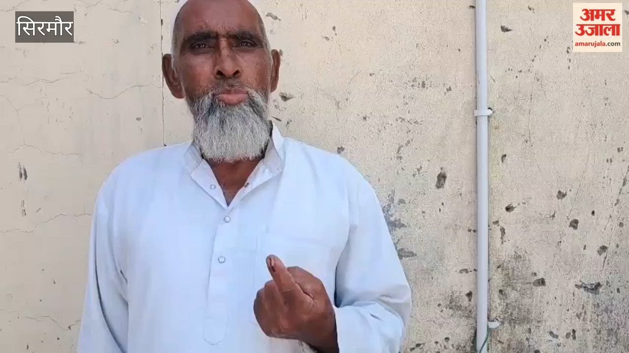 Video: Voting Underway in 94 Panchayats of Sirmaur; 65.10% Turnout by 1:00 PM