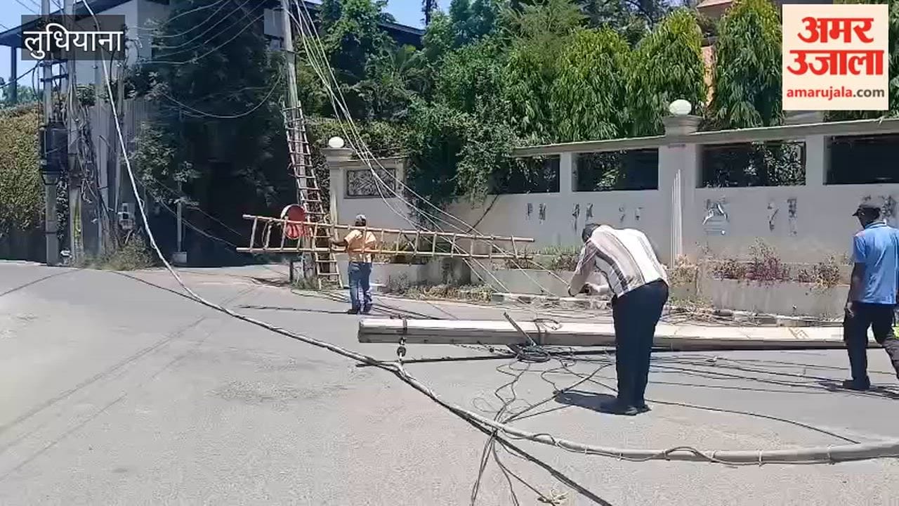 Electric poles broken due to falling tree branch in Ludhiana, power outage