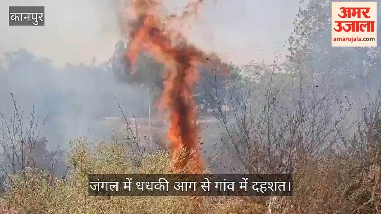 Massive Fire Breaks Out Near Rind River Forest Area in Bhitargaon