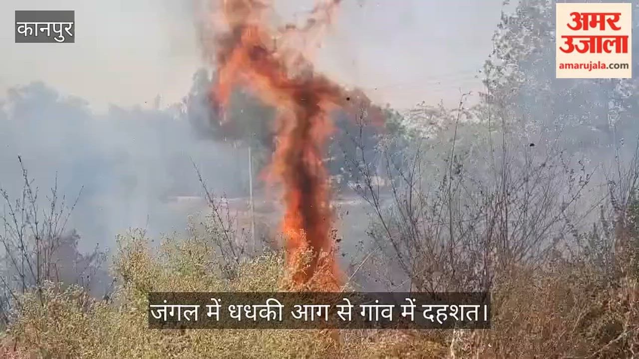 Massive Fire Breaks Out Near Rind River Forest Area in Bhitargaon