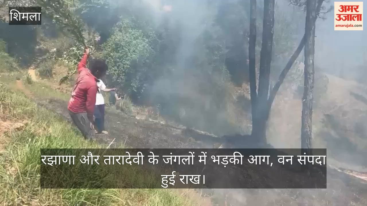 Mischievous Elements Set Fire to Razhana Forest; Forest Wealth Damaged