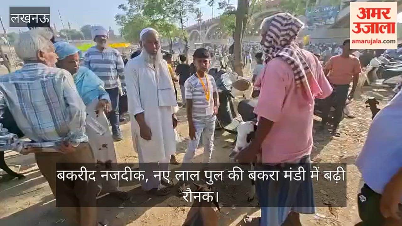 Video: बकरीद नजदीक, नए लाल पुल की बकरा मंडी में बढ़ी रौनक