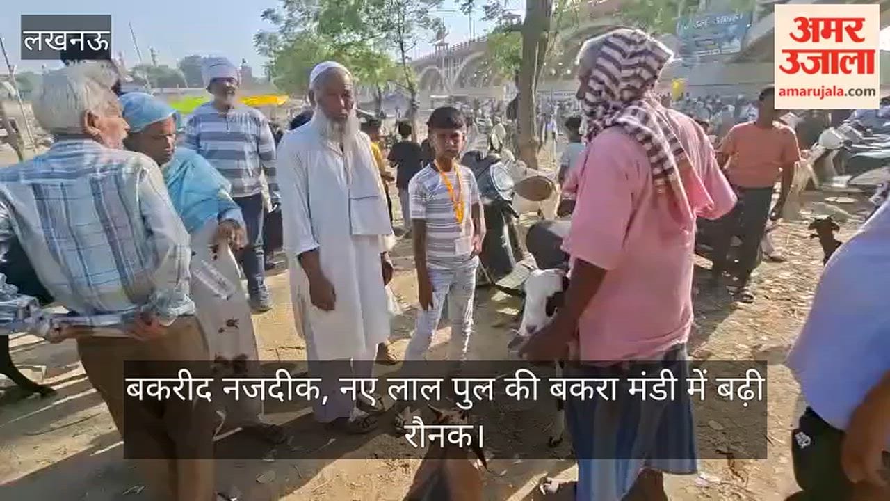 Video: बकरीद नजदीक, नए लाल पुल की बकरा मंडी में बढ़ी रौनक
